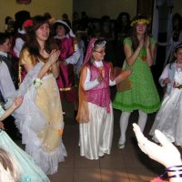 529-karneval_2009_full